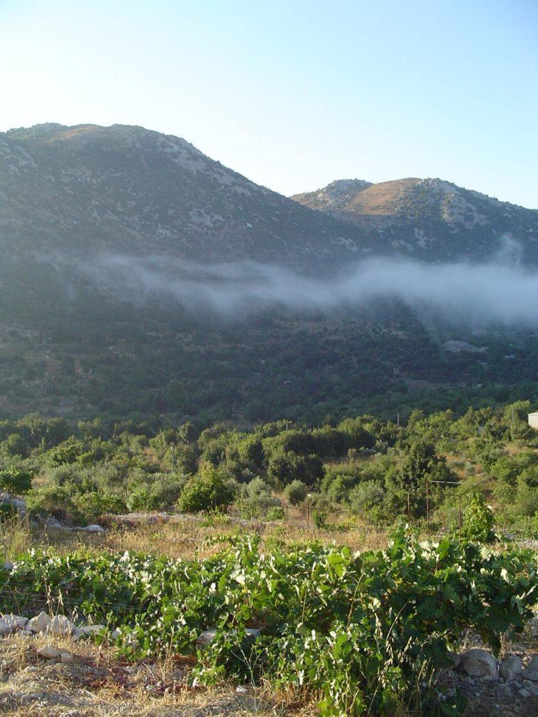 Jabal al Rihane Biosphere Reserve