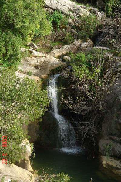 Jabal al Rihane Biosphere Reserve