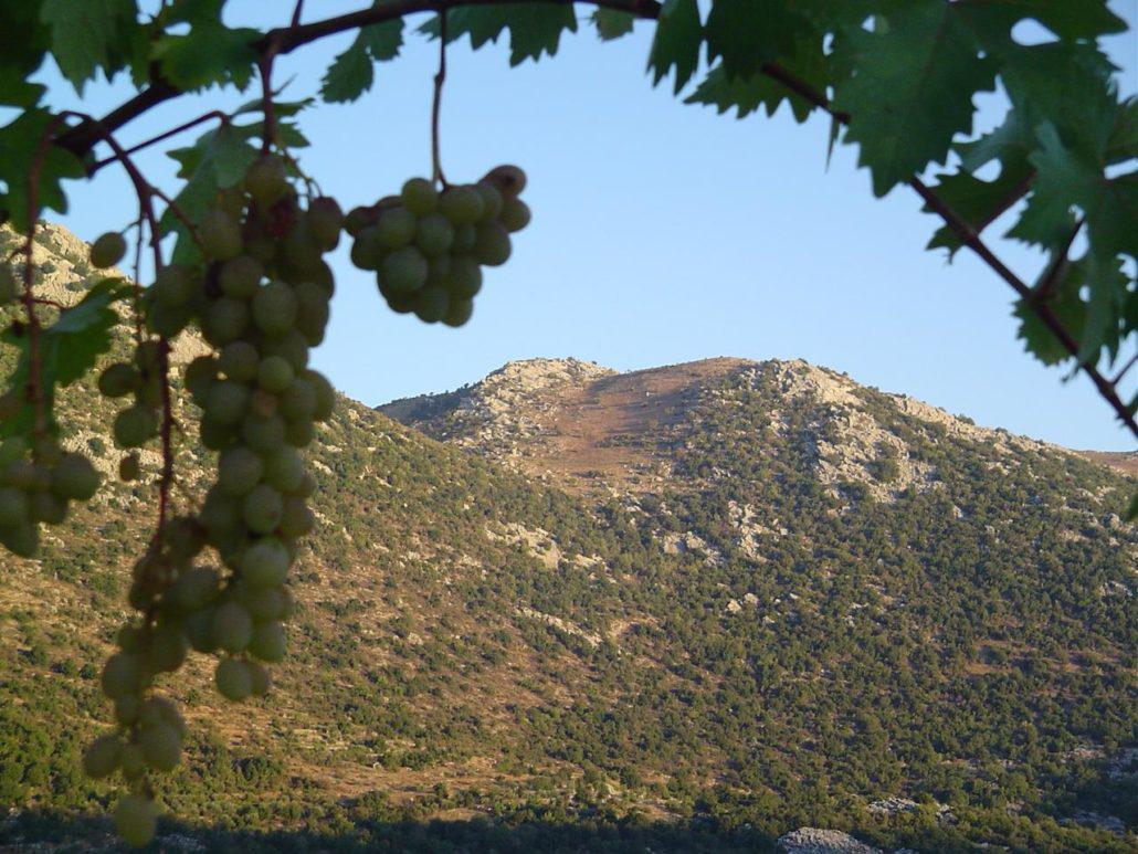 Jabal al Rihane Biosphere Reserve