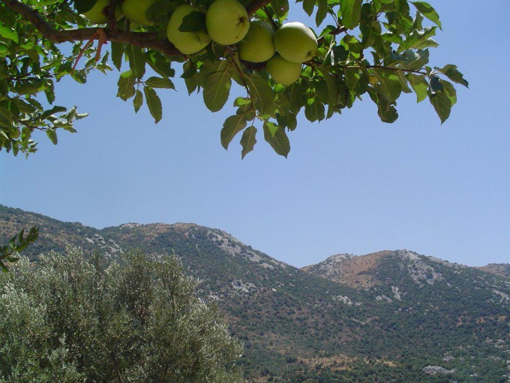 Jabal al Rihane Biosphere Reserve