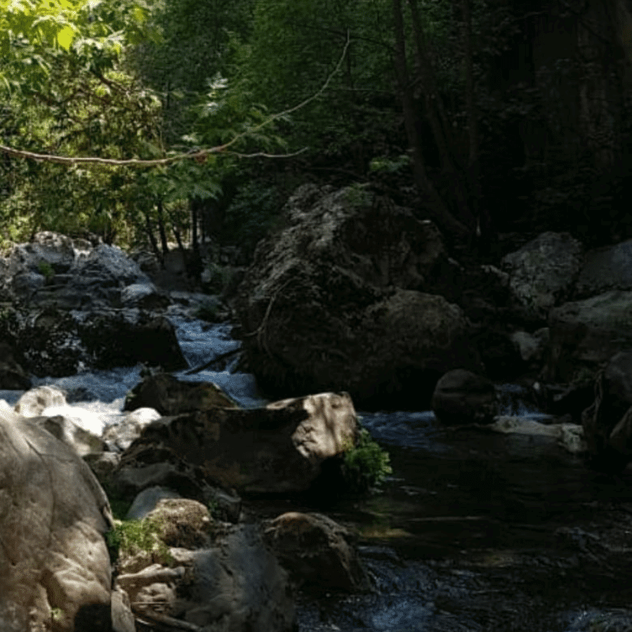 Camping Spot Ibrahim river