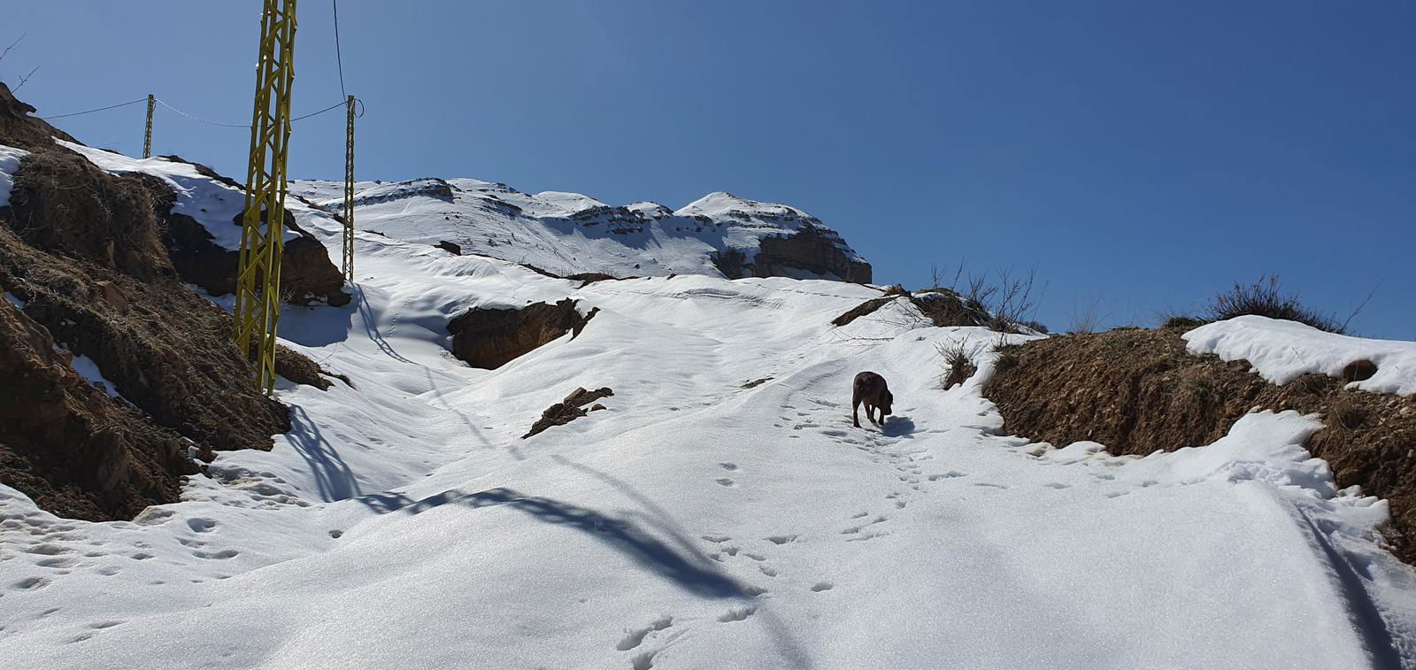 Qehmez – Nabeh el Qana – Jerd Hrajel