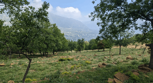 Cultural Hike Akoura