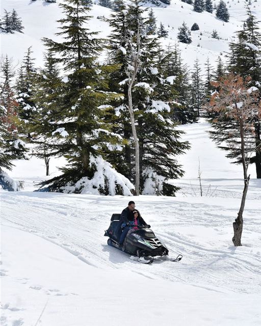 Ski-Doo – Kfardebian