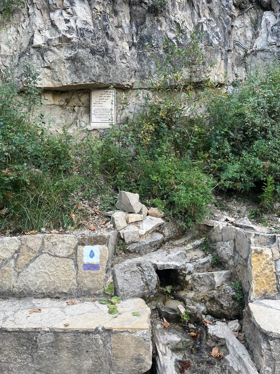 Horsh Ehden Nature Reserve