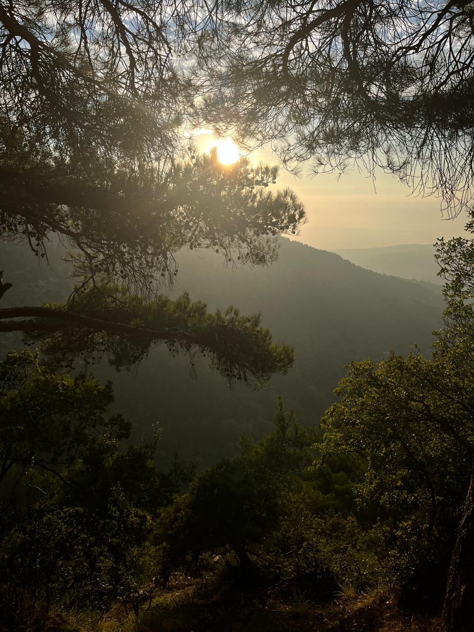 Horsh Ehden Nature Reserve