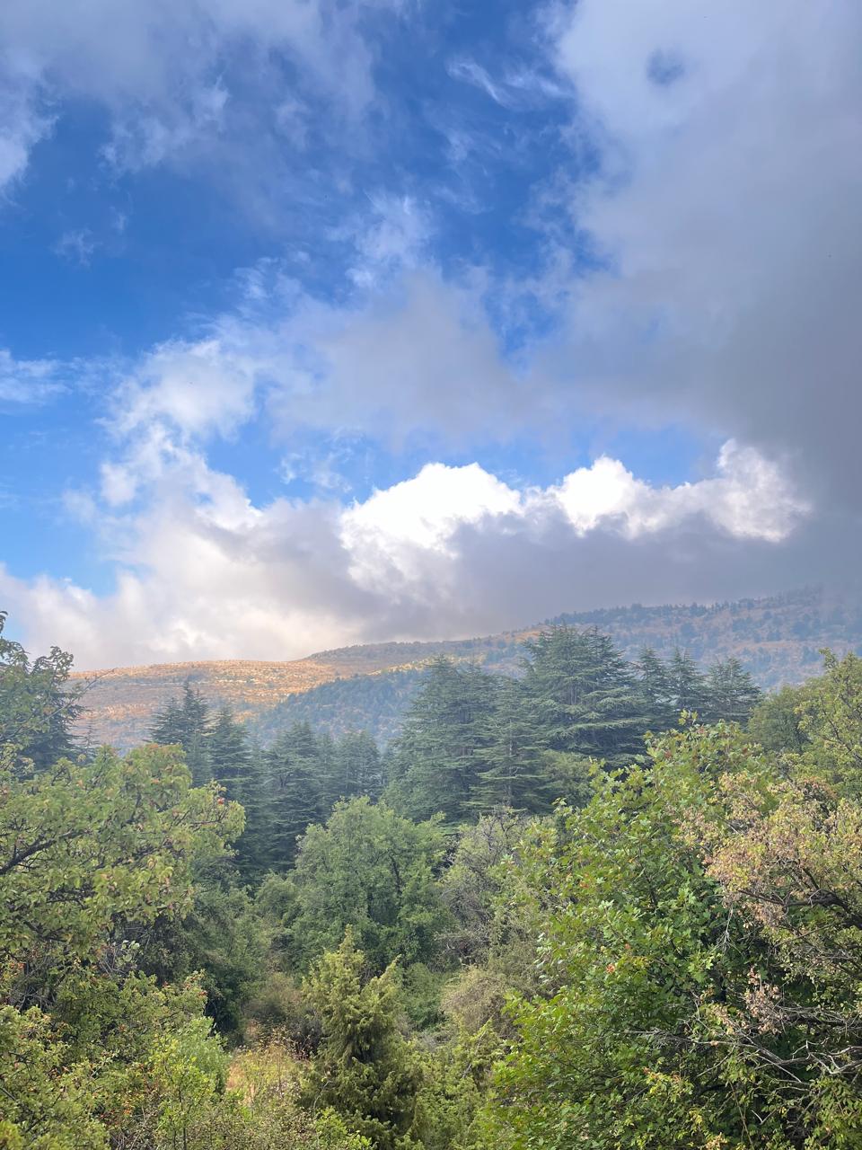 Horsh Ehden Nature Reserve