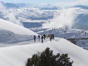 Horsh Ehden Nature Reserve