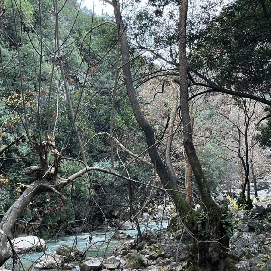 Yahchouch Waterfalls