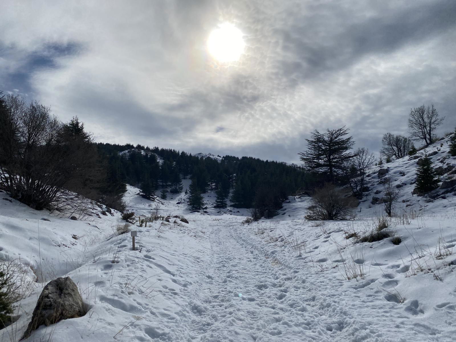 Aquafina Trail – Al Shouf Cedar Nature Reserve