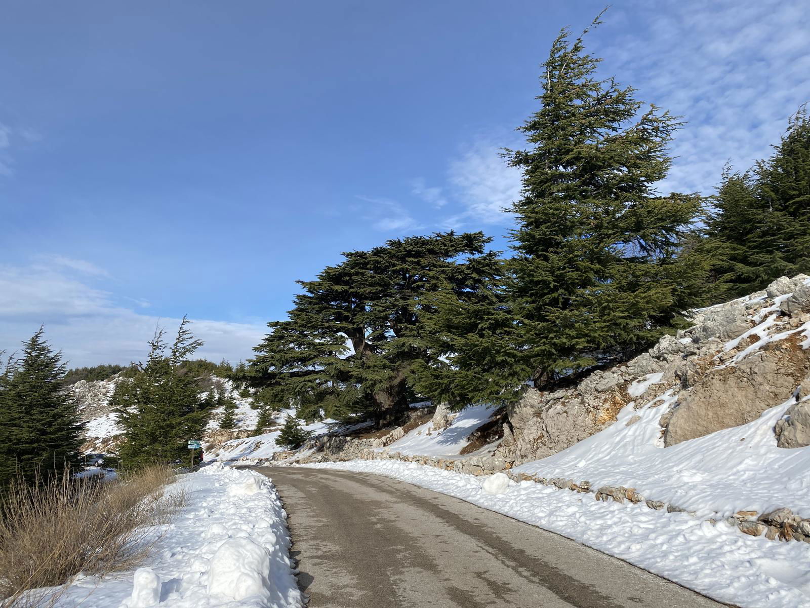 Aquafina Trail – Al Shouf Cedar Nature Reserve