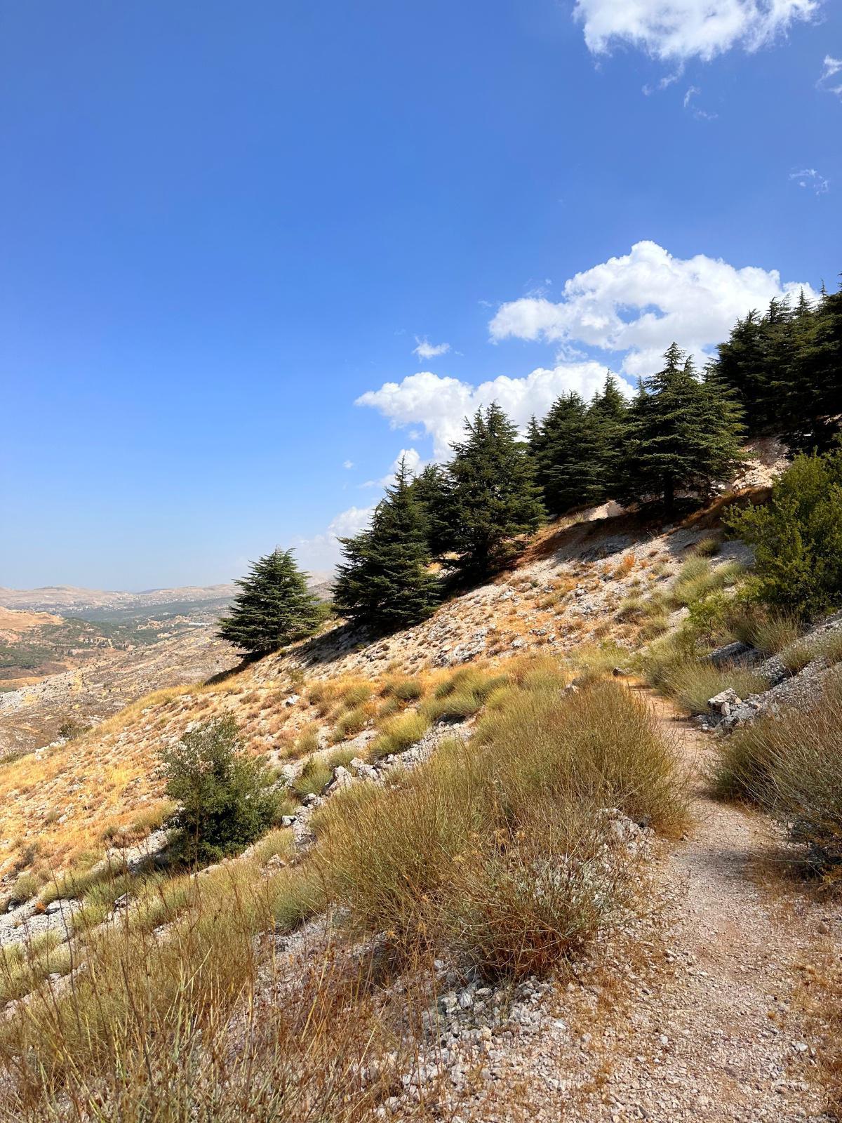 Aquafina Trail – Al Shouf Cedar Nature Reserve