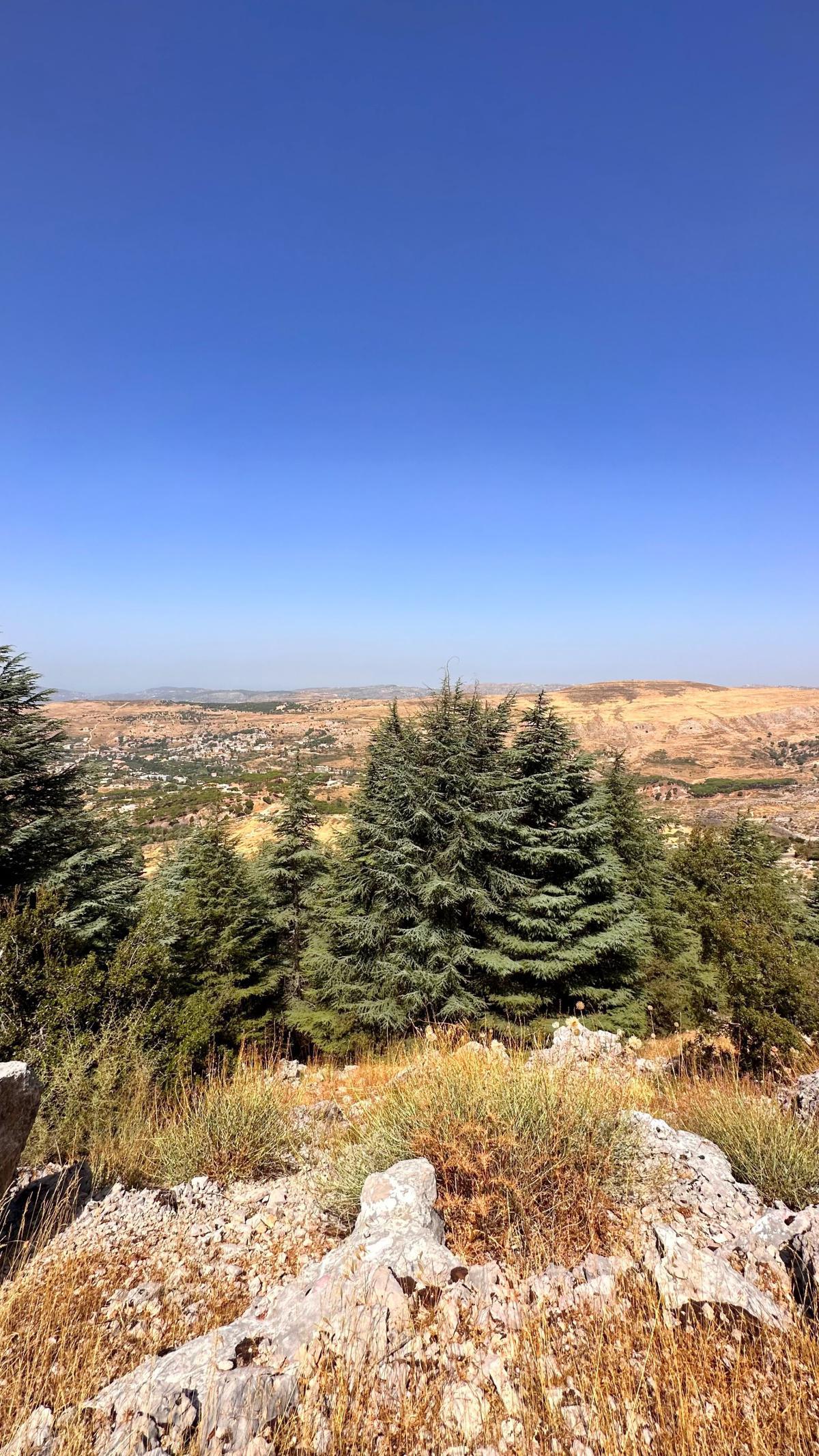 Aquafina Trail – Al Shouf Cedar Nature Reserve