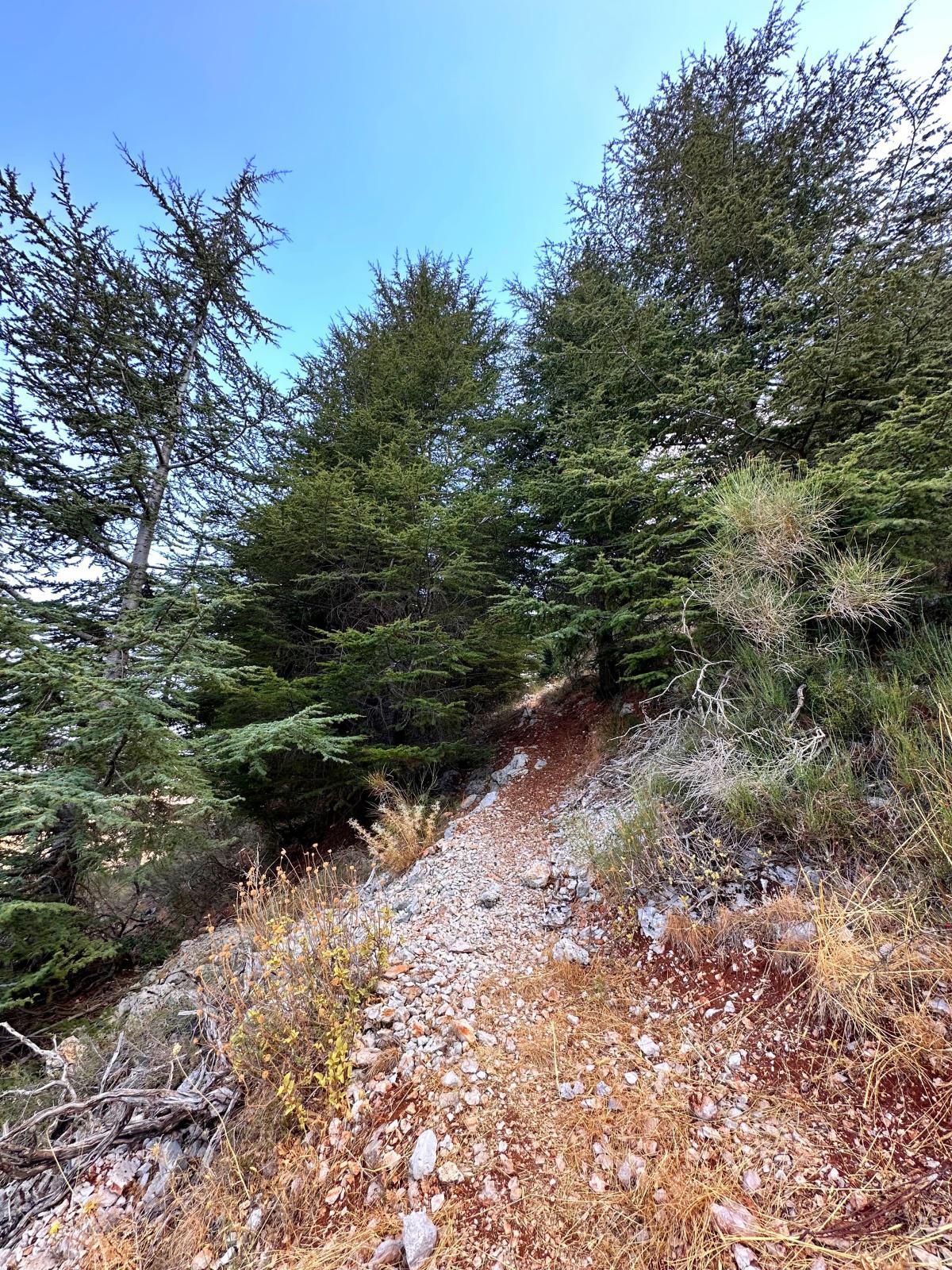 Aquafina Trail – Al Shouf Cedar Nature Reserve