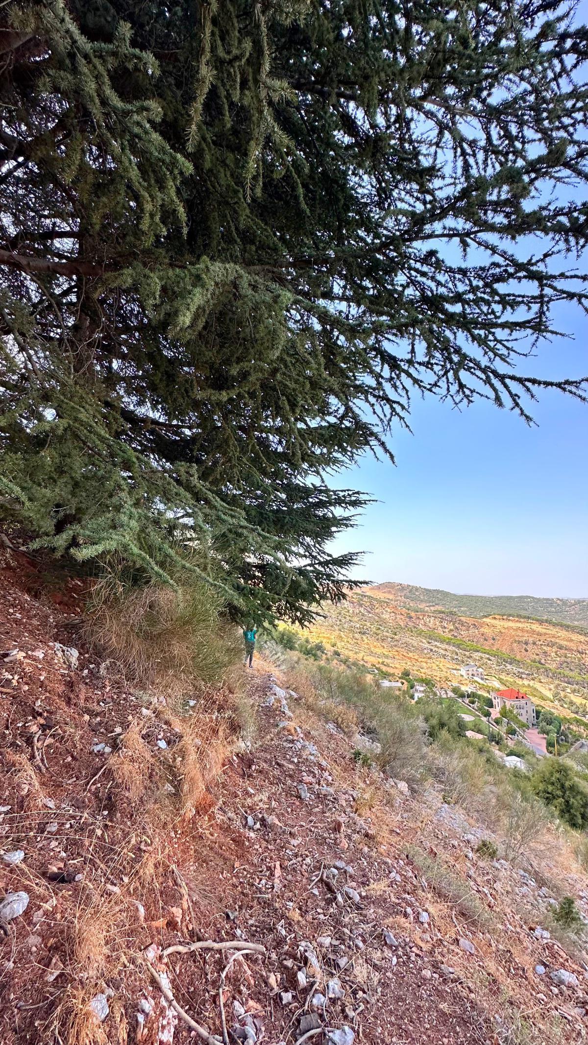 Aquafina Trail – Al Shouf Cedar Nature Reserve