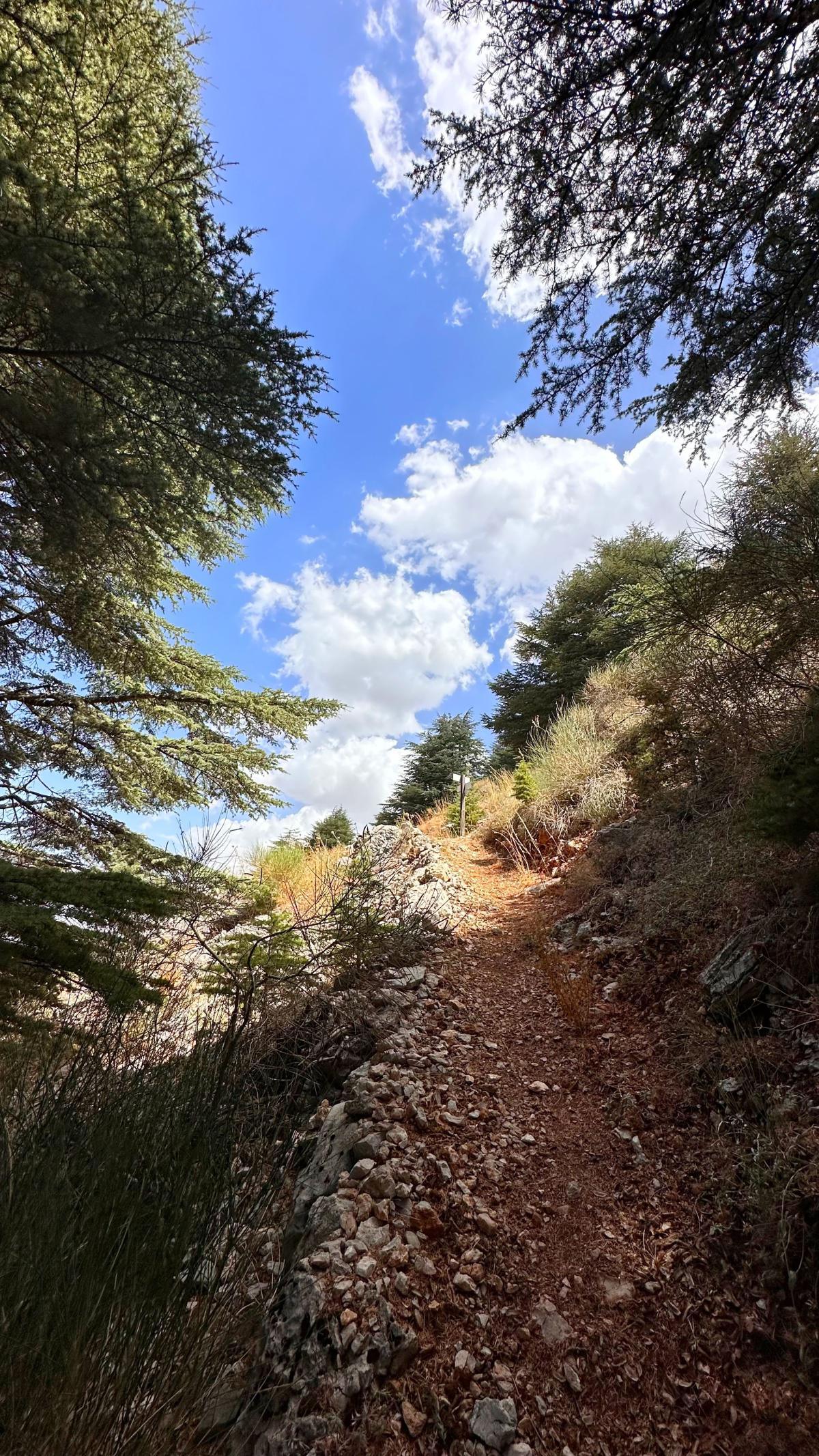 Aquafina Trail – Al Shouf Cedar Nature Reserve