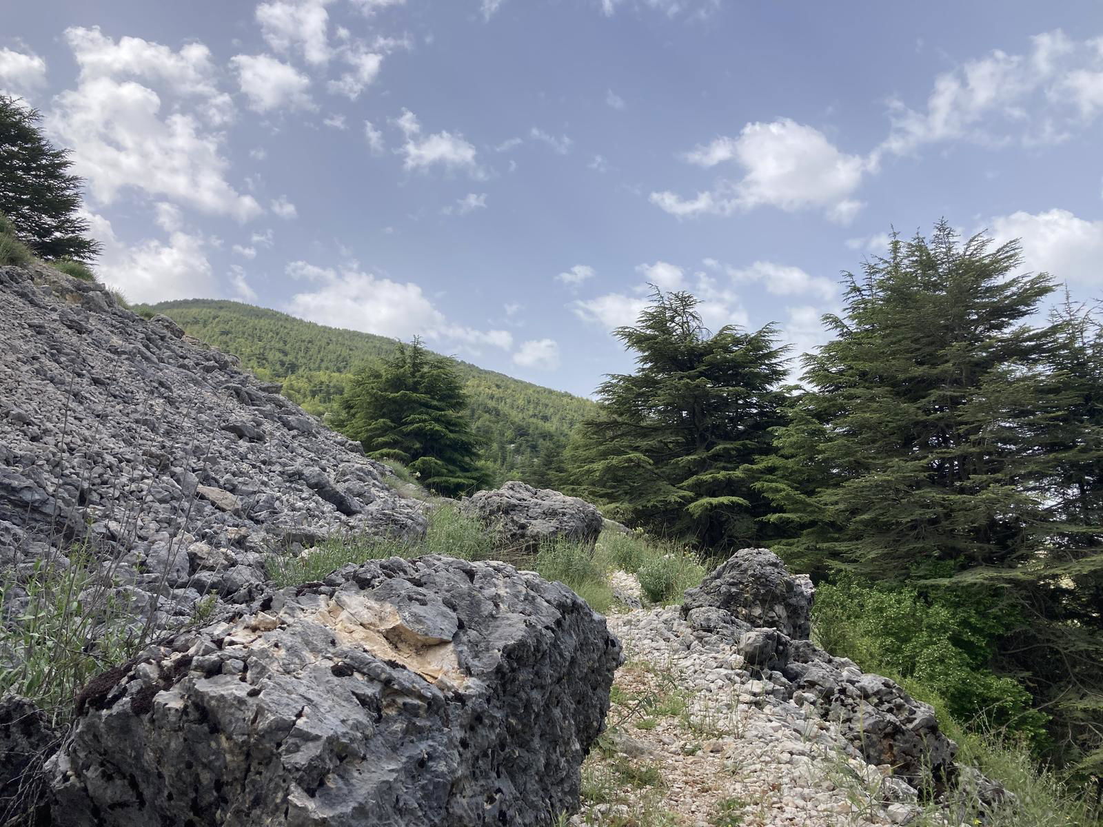 Aquafina Trail – Al Shouf Cedar Nature Reserve