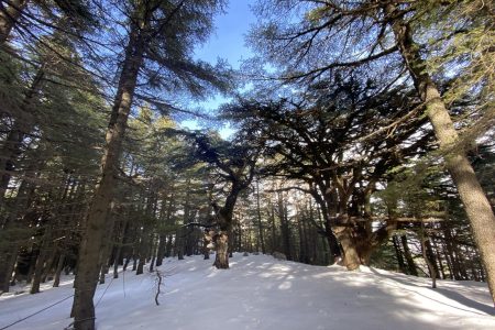 Aquafina Trail – Al Shouf Cedar Nature Reserve