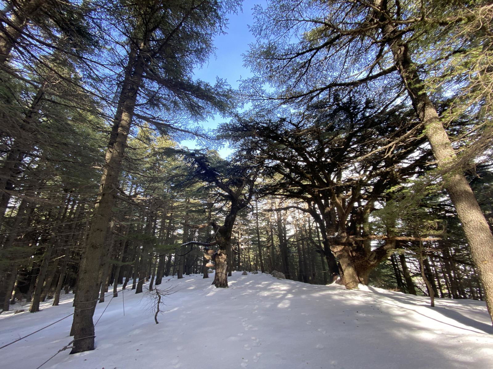 Aquafina Trail – Al Shouf Cedar Nature Reserve