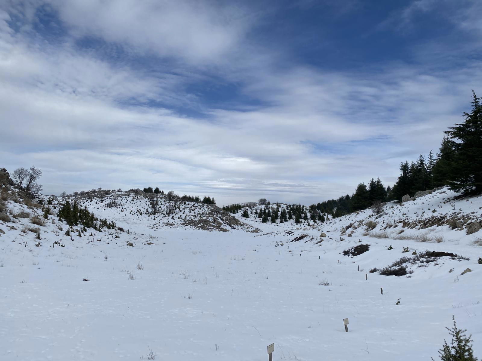 Aquafina Trail – Al Shouf Cedar Nature Reserve