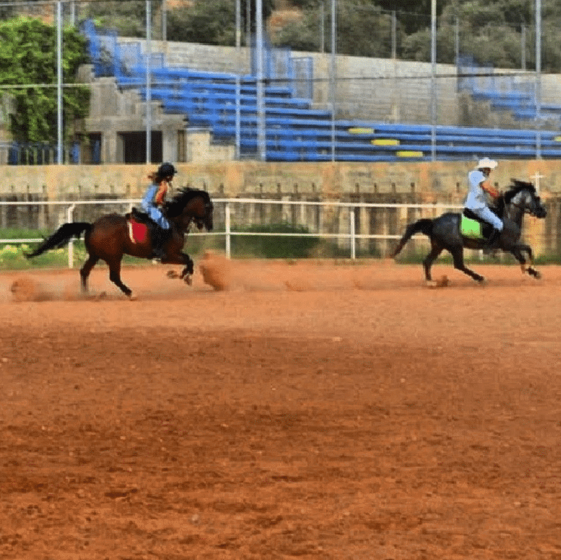 Mar Antonios Equestrian Club