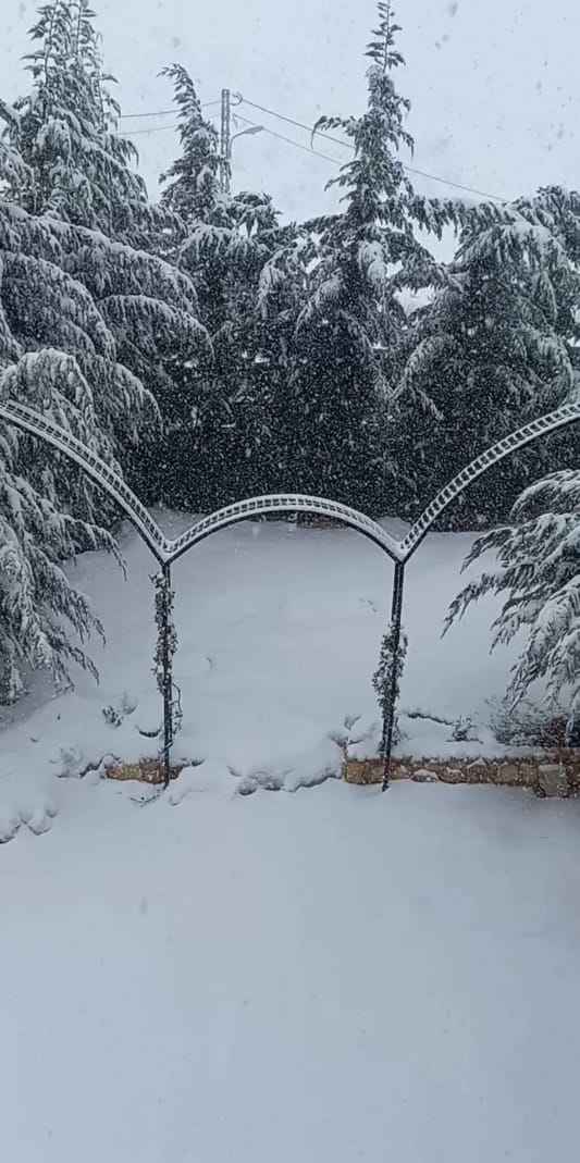 بيت و جنينة لليلة وحدة – بمهراي, الشوف