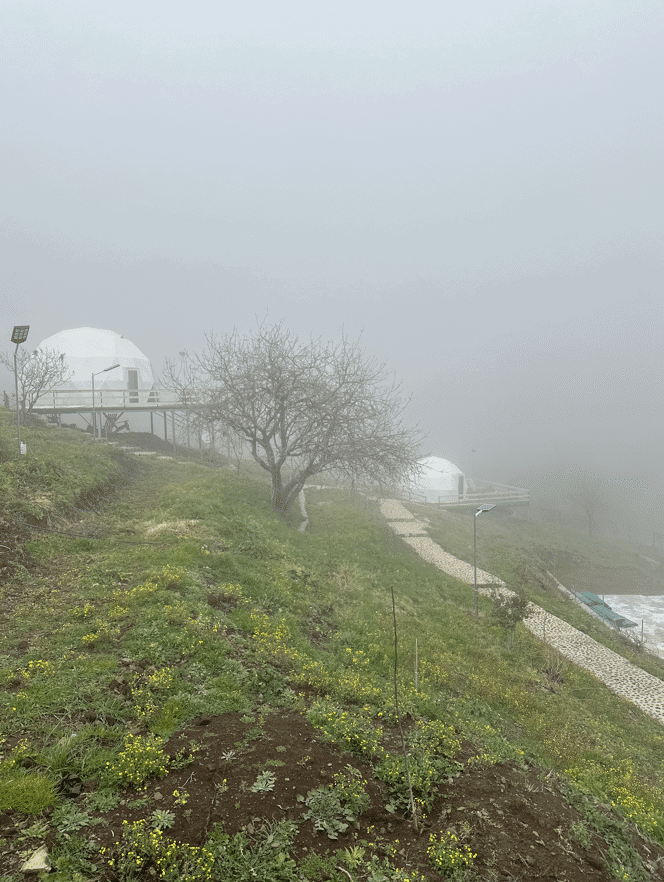 Domes – Qnat, Bcharre