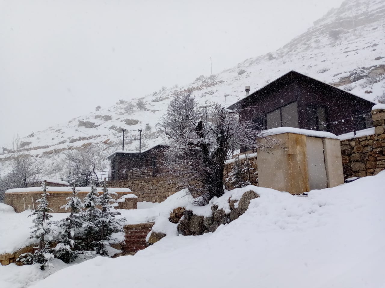 Bungalow – Faraya