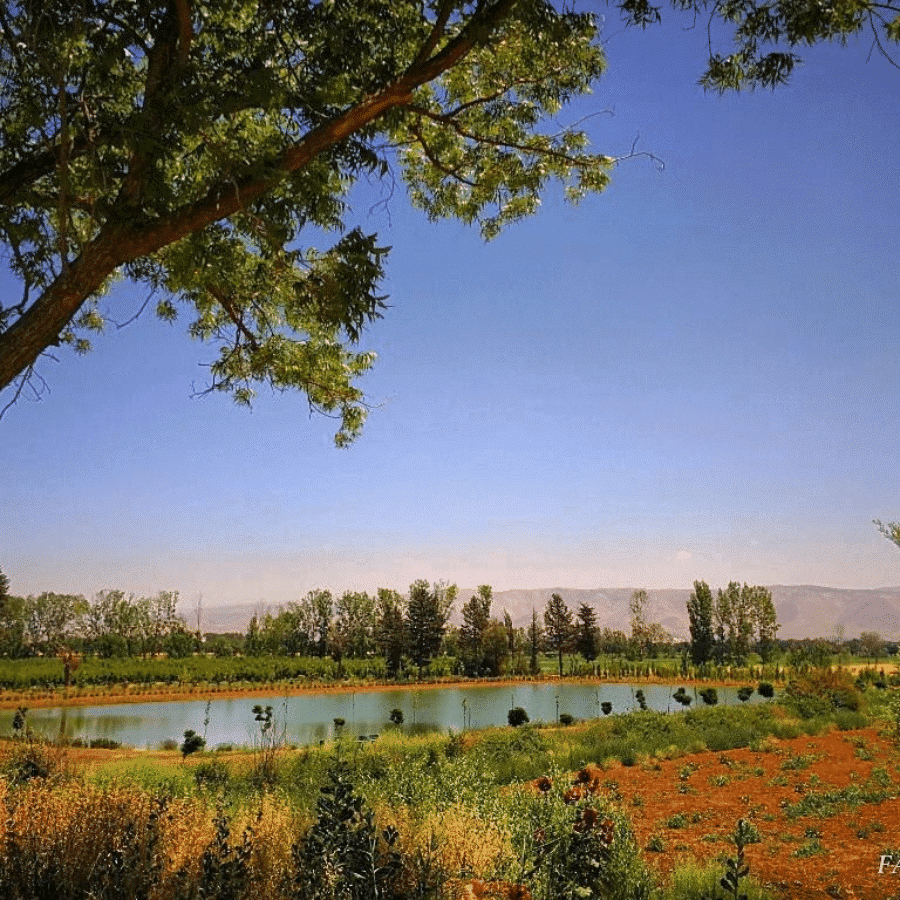 Charming Beqaa tour