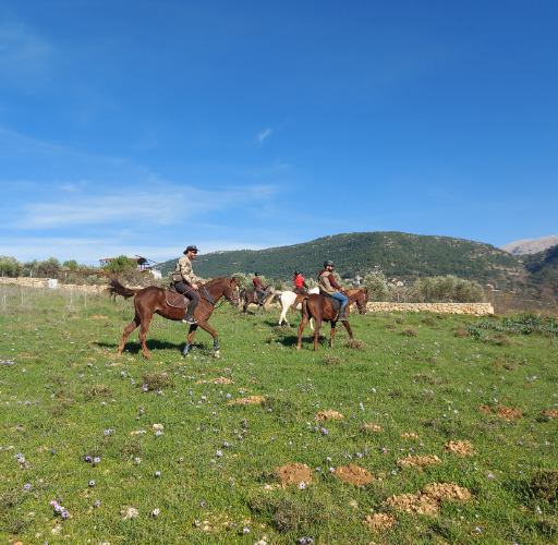 Cedars Trail Riding