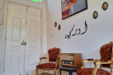 غرفة أوركيد ببيت ضيافة – معاصر الشوف