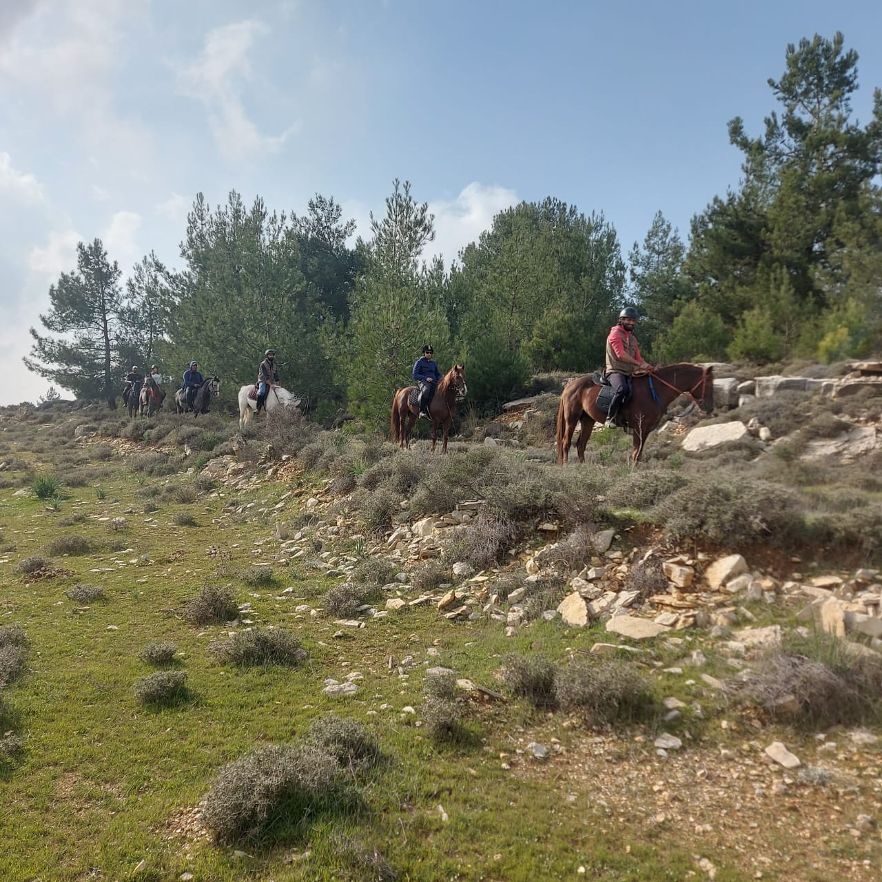 Cedars Trail Riding