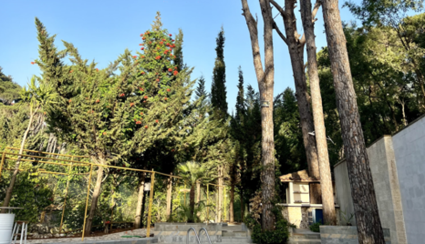 Day Shift for up to 25 people in a Private Pool and Venue – Dlaibe, Matn