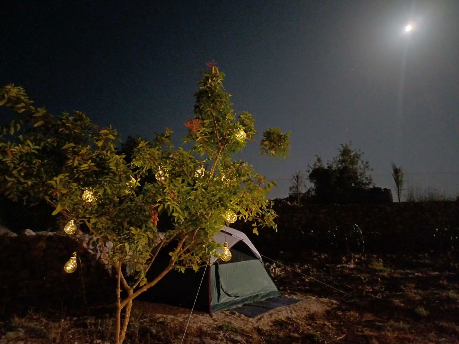 Tent for three people in a Campsite – Hsarat, Jbeil