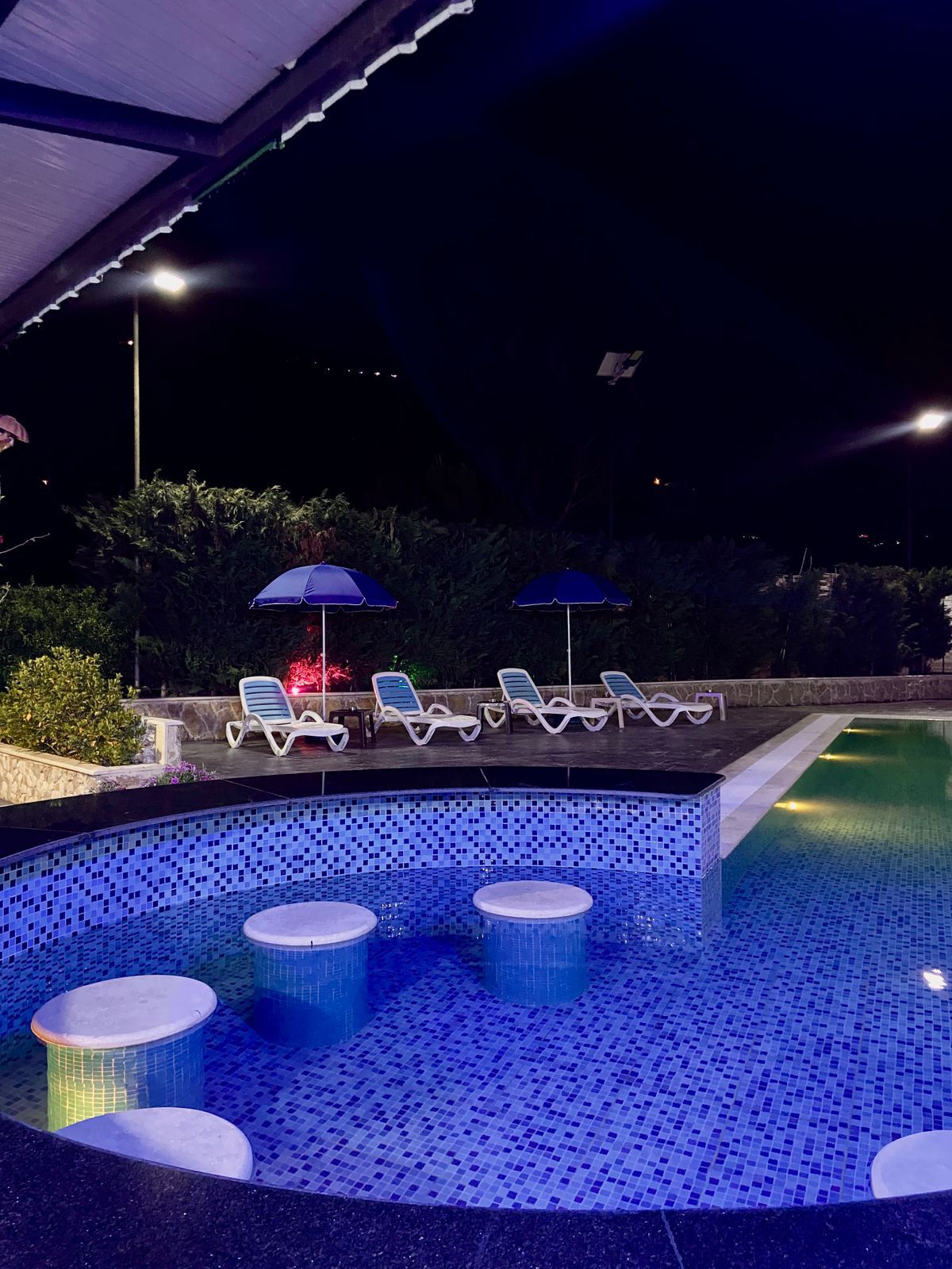 Private Pool – Ramliyeh, Aley