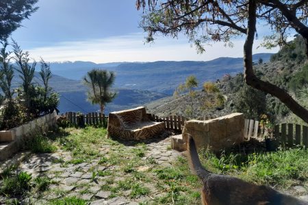 Chalet Two for 24 hours  – Baisour, Aley