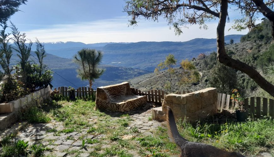 Chalet Two for 24 hours  – Baisour, Aley