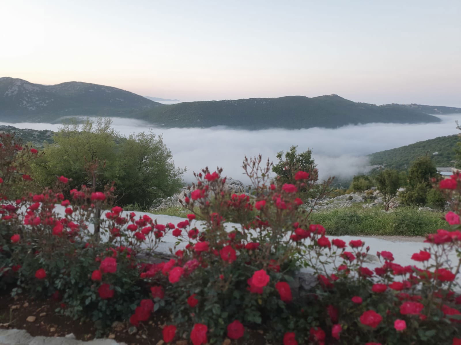 Chalet with Pool – Lwayzeh, South Lebanon
