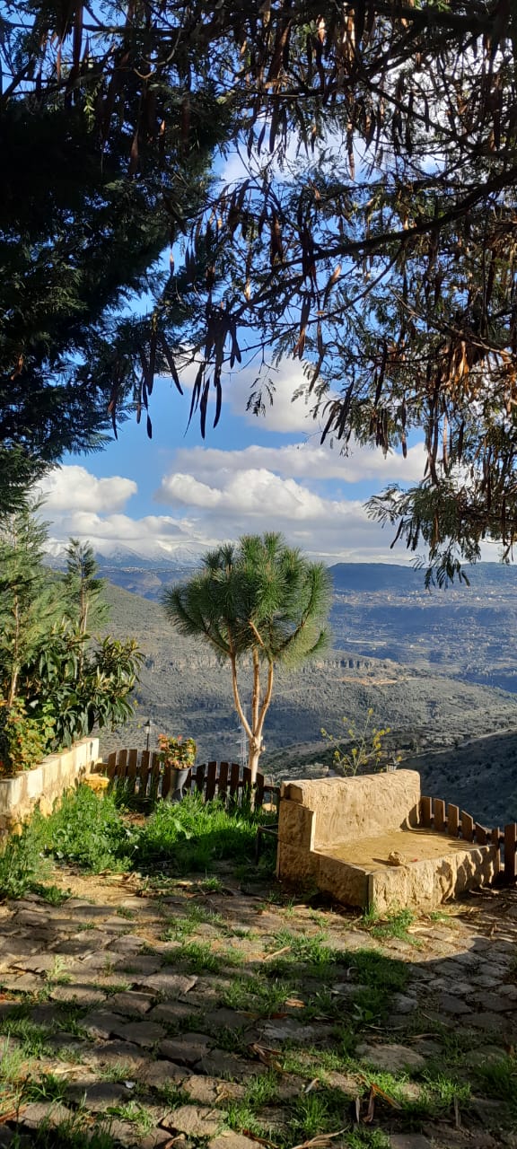 Chalet with Private Pool for 24 hours – Baisour, Aley