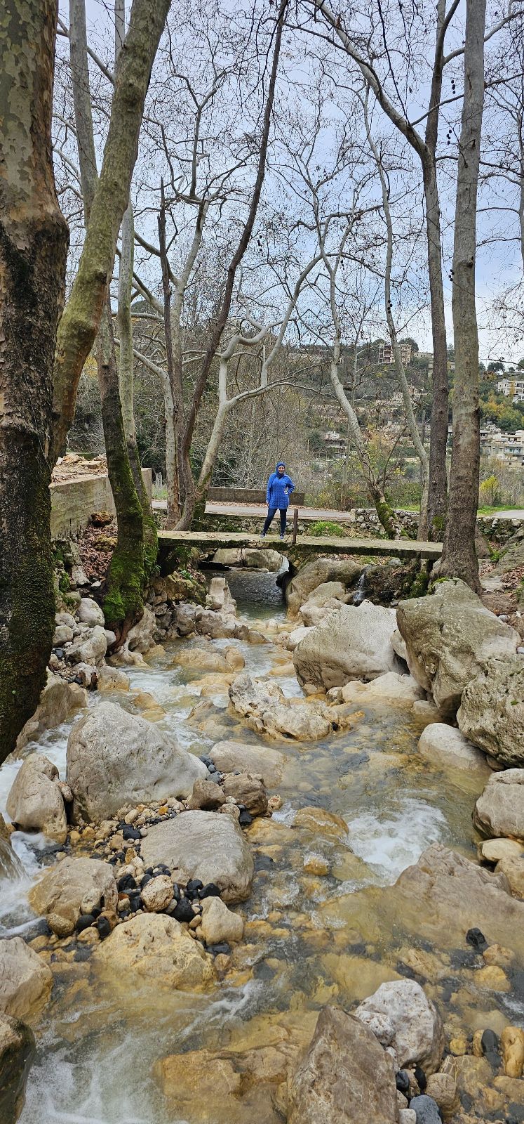 River by the Road Yahchouch