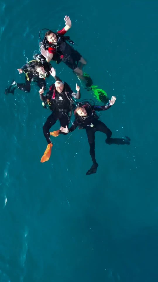 Scuba Squad
