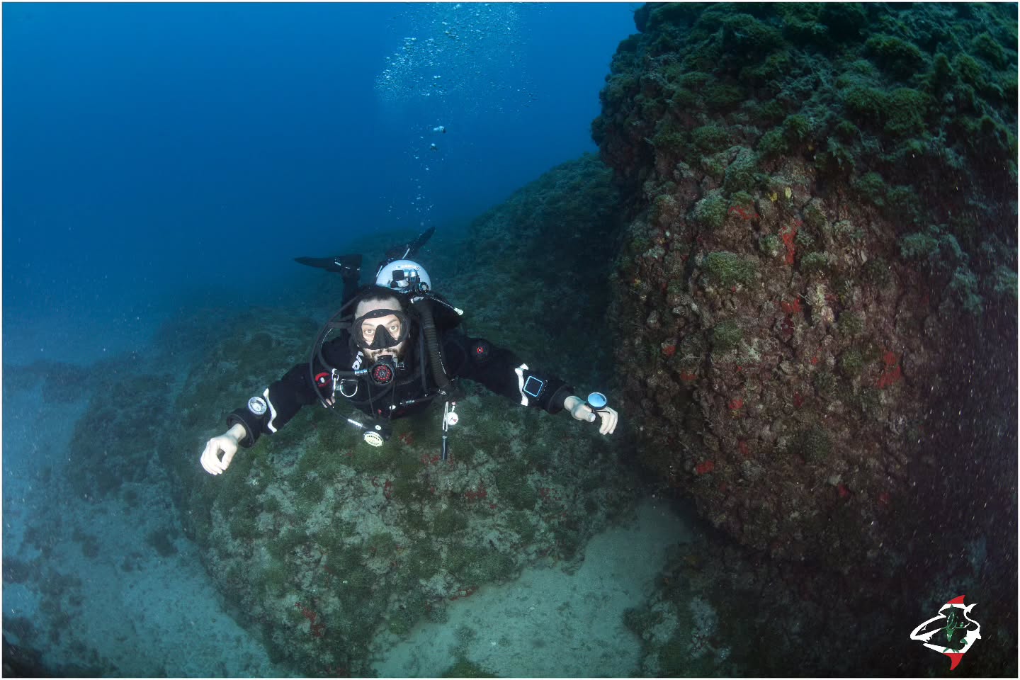Scuba Squad
