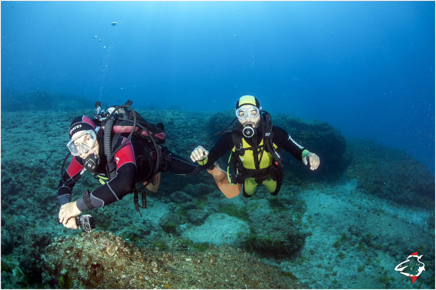 Scuba Squad