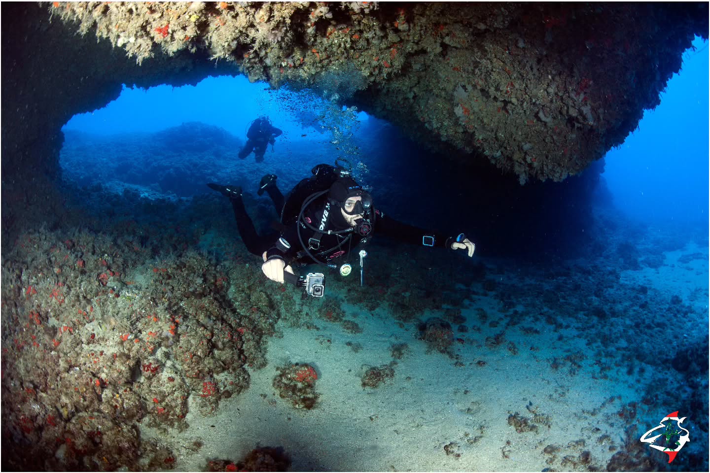 Scuba Squad