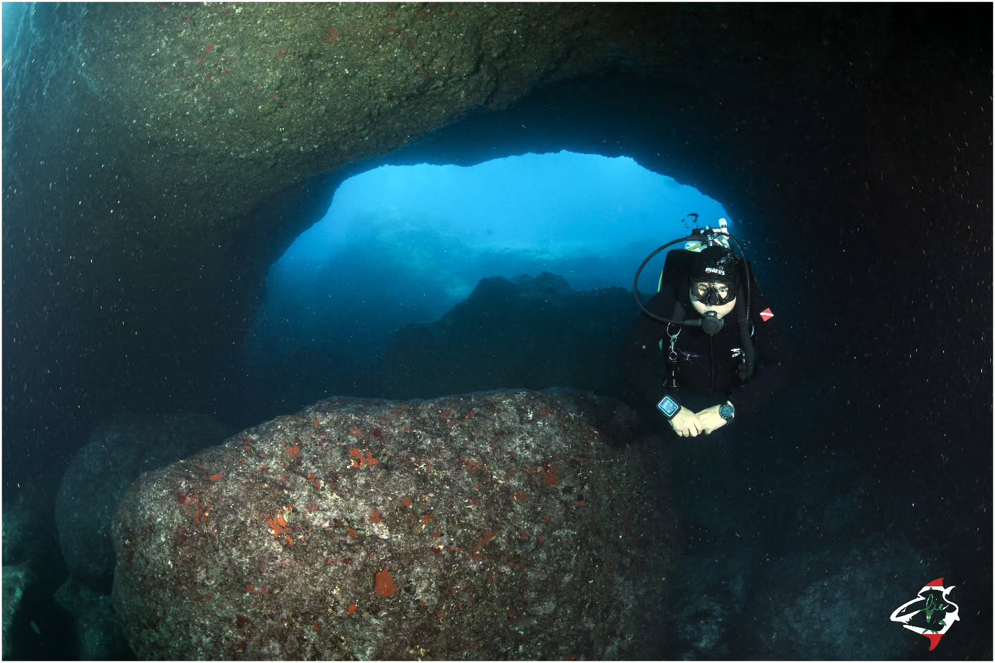 Scuba Squad