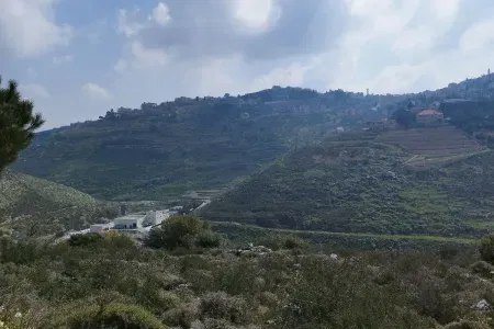 Scenic View Sultanieh