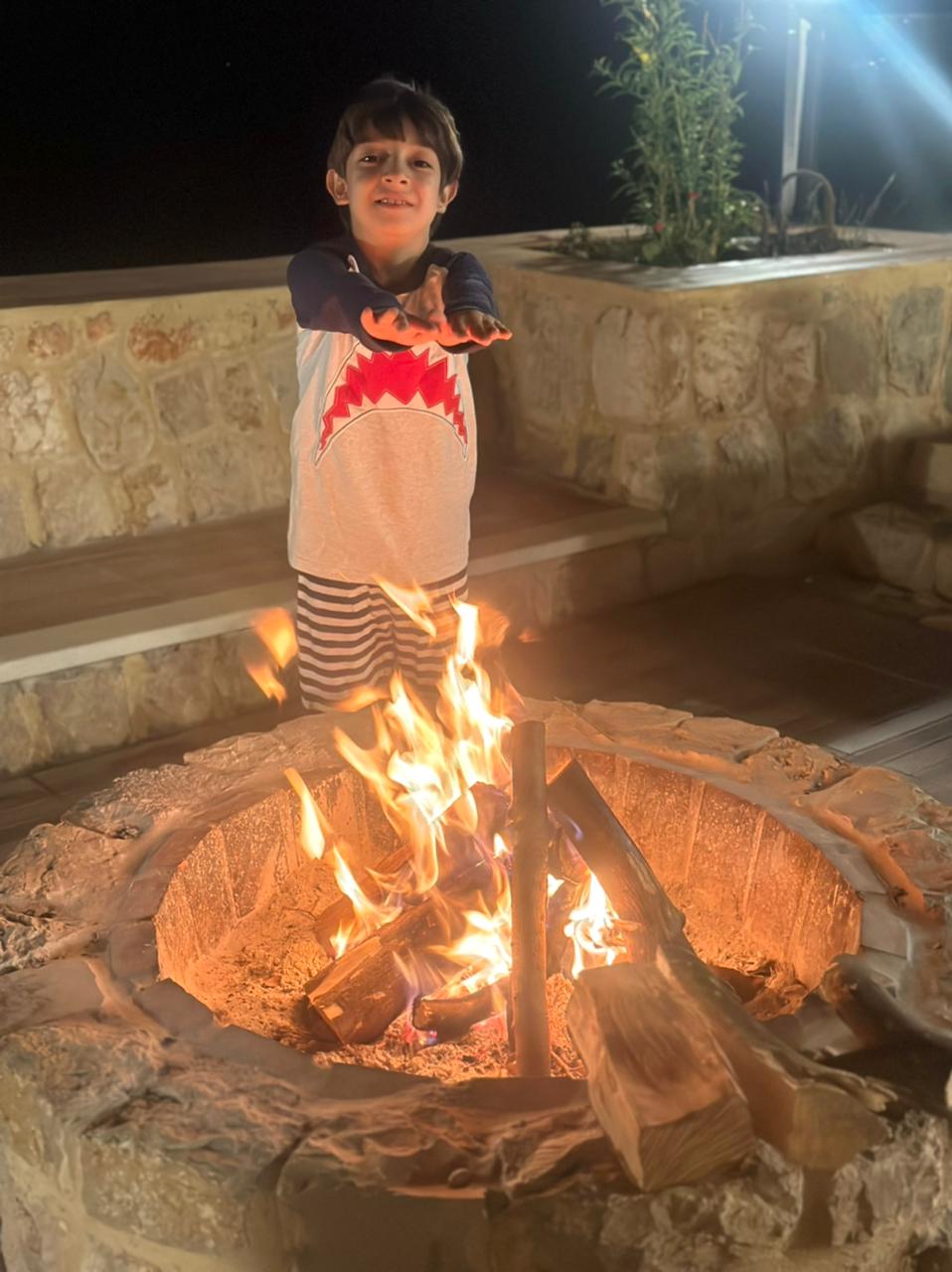 Chalet with Private Pool – Louaizeh, Jezzine