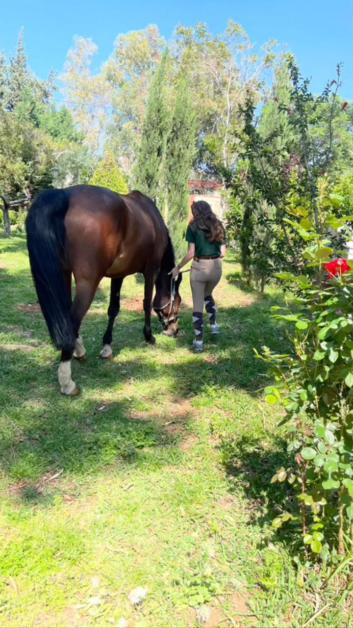 Reef Horse Club