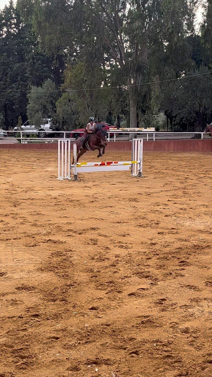 Reef Horse Club