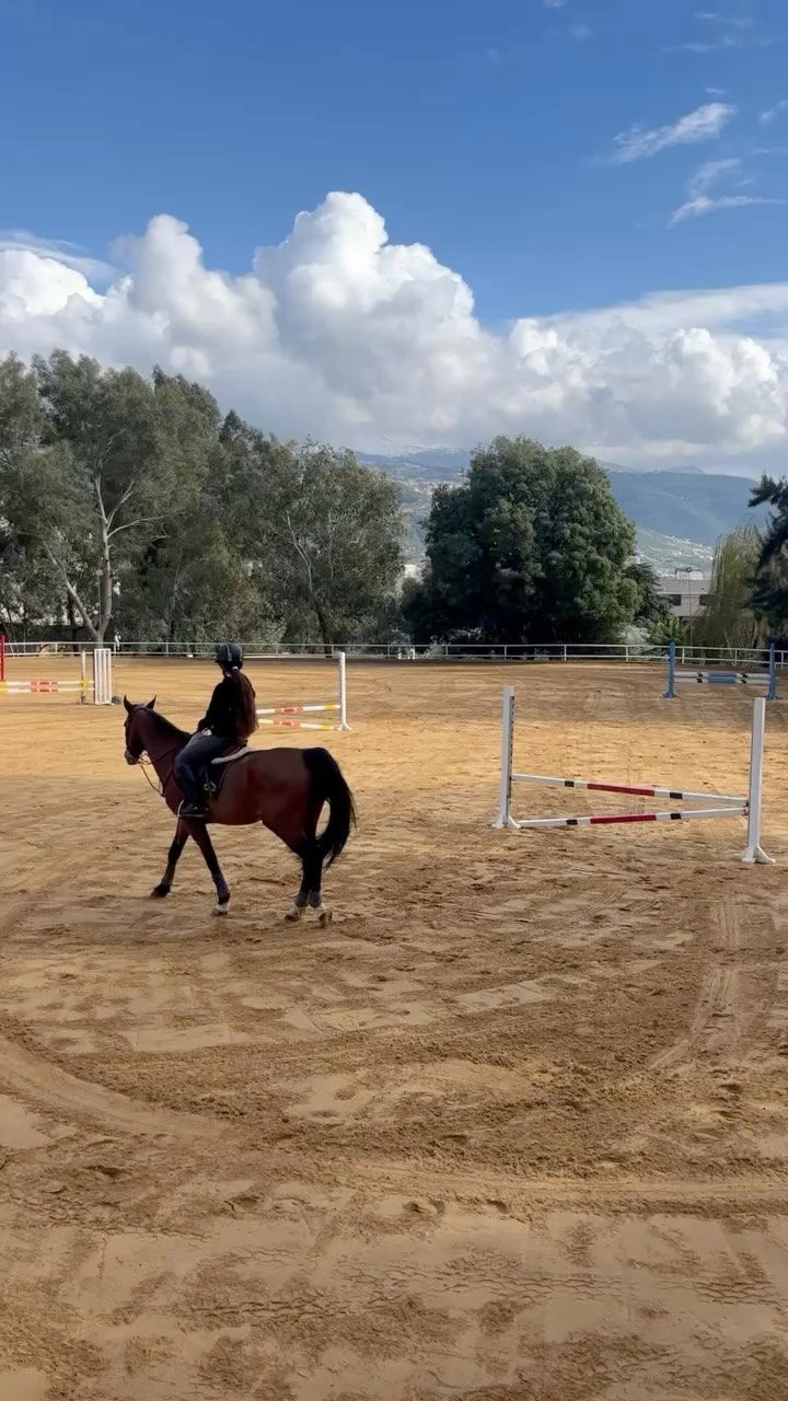 Reef Horse Club